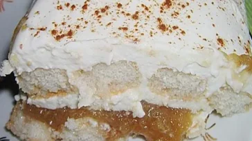 Apfel Zimt Tiramisu