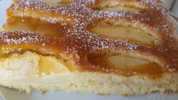 Apfelkuchen schnell und fein