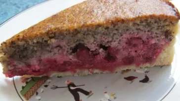 Johannisbeerkuchen