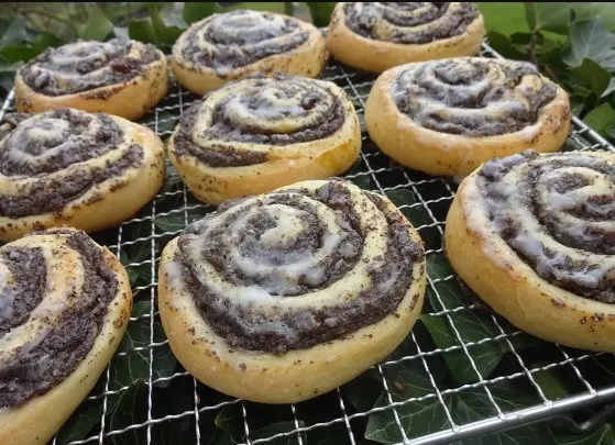 Mohnschnecken mit Hefeteig (ohne Rosinen)