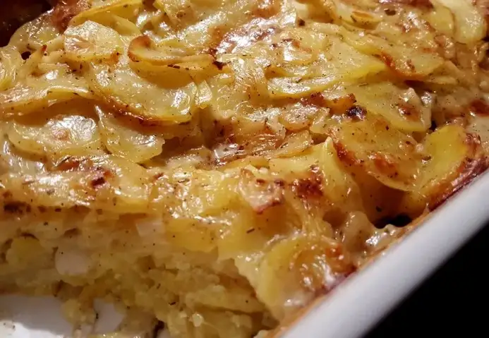 Kartoffelgratin mit frischem Thymian