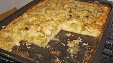 Schneller Blechkuchen mit Obst