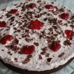 Schoko Spekulatius-Kuchen mit Preiselbeer-Sahne