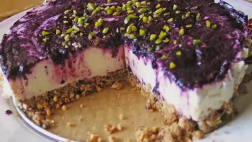 Blaubeer - Frischkäse Torte mit Crunchyboden