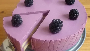 Brombeer Quark Torte