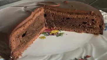 Burgis Sachertorte-eine wienerische Variante