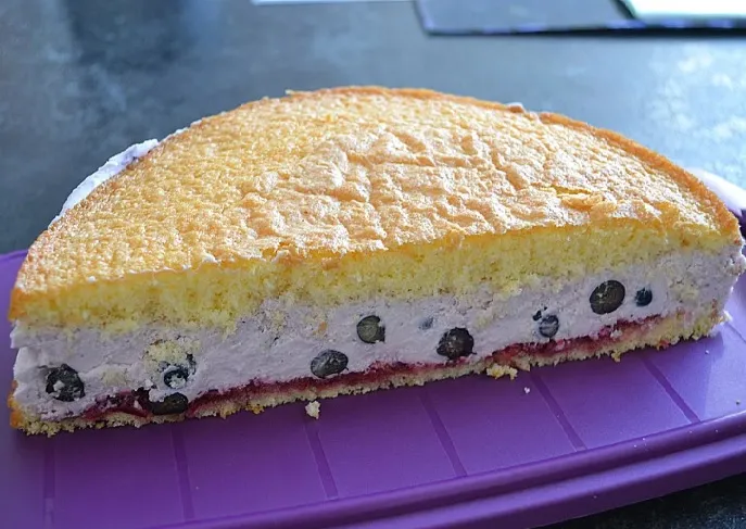 Heidelbeer -Joghurt -Topfen Torte