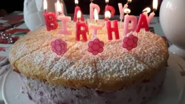 Himbeer-Sahne-Quark-Torte mit Miniwindbeuteln