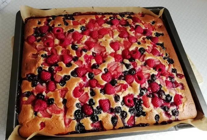 Joghurt Frucht Blechkuchen