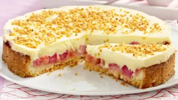 Himmlischer Creme-Kuchen mit Frischem Rhabarber