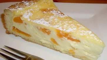 Mandarinen Schmand Pudding Kuchen