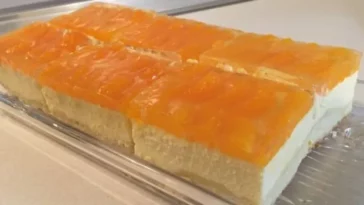 Leichter Quark-Mandarinen Blechkuchen