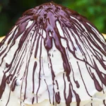 Russischer Vulkan Kuchen