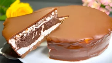 Schoko-Quarktorte ohne Backen