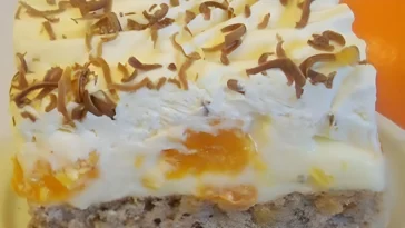 Wunderbarer-Mandarinenkuchen-–-SCHRITT-FUR-SCHRITT