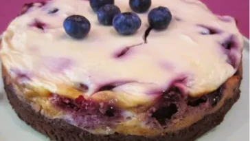 Blueberry‑Cheesecake-Brownie