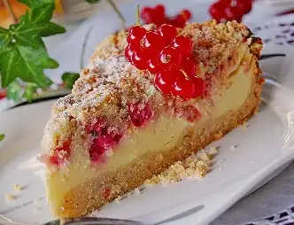 Johannisbeer - Käsekuchen mit Streuseln