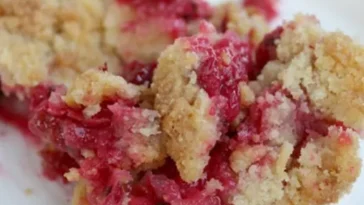 Johannisbeer Crumble