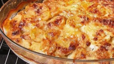 Kartoffelgratin mit Schmelzkäse