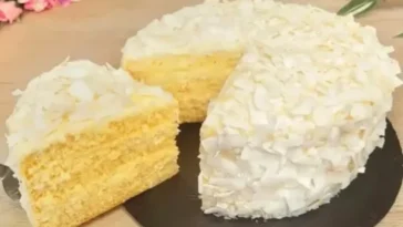 Köstlicher Kokos Biskuitkuchen