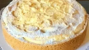 Quark-Schneekuchen-mit-Vanillepudding-in-10-Minuten