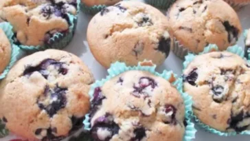 BLAUBEERE-HEIDELBEERE MUFFINS