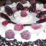 HIMBEER-SCHOKO-SAHNE-Traumtorte mit saftigem Schokoteig