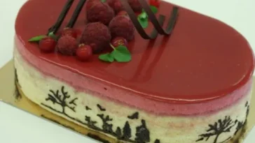 Himbeermousse Torte mit Dekorbiskuit