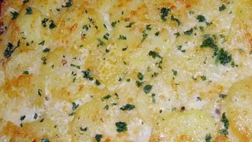 Kartoffelgratin mit Käse