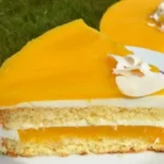 Mango Kokos Torte