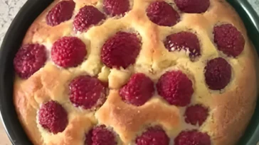 SUPER LOWCARB HIMBEER KUCHEN