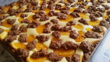 Mandarinen Zupfkuchen