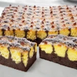 Schoko Kokos Blechkuchen