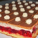 Himbeer-Keks-Schnitten