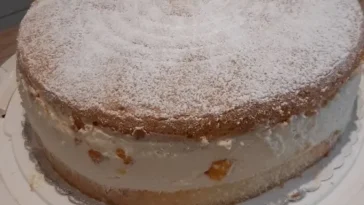 Käsesahnetorte mit Mandarinen