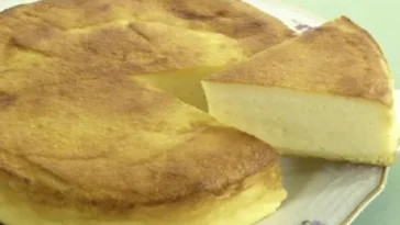 Luftig-leichter käsekuchen-Das geniale rezept