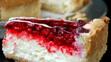 PUDDING-SCHMAND-KUCHEN MIT HIMBEEREN