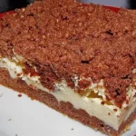 Polnischer Schoko Quark Kuchens