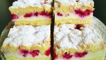 RASPELKUCHEN MIT HIMBEEREN UND PUDDING