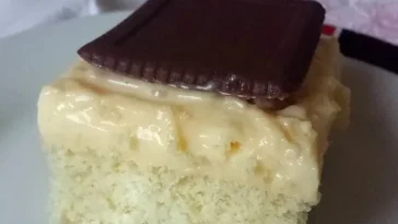 Eierlikörkuchen mit Pudding vom Blech