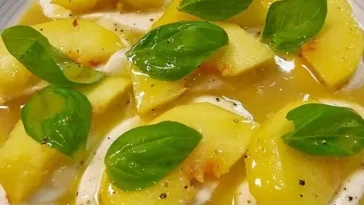 Mozzarella Orangen Salat