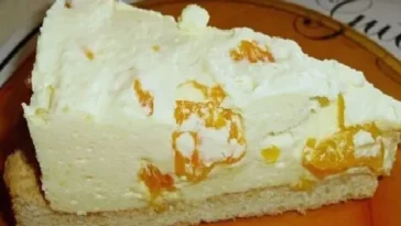 Schüttelkuchen