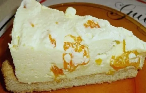 Schüttelkuchen