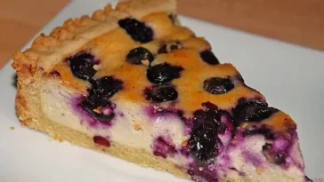 Laktosefreier Blaubeer-Käsekuchen