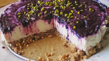 Blaubeer - Frischkäse Torte mit Crunchyboden