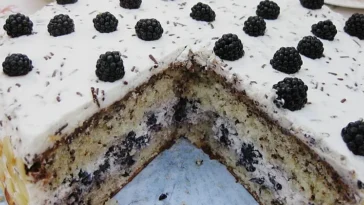 Brombeer - Stracciatella - Torte