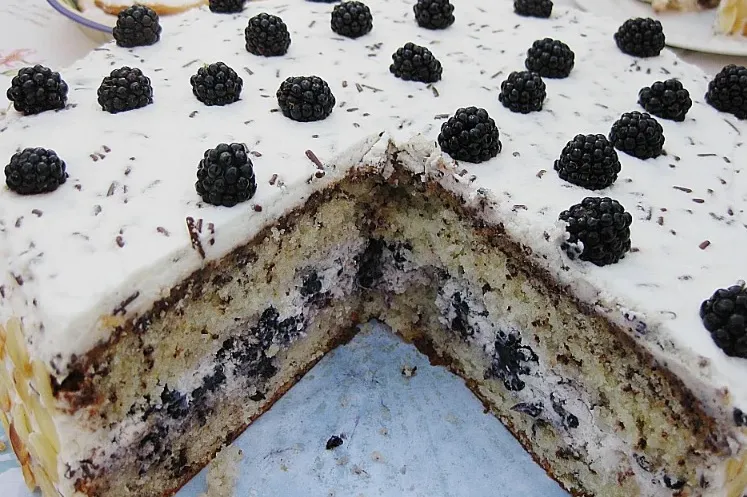 Brombeer - Stracciatella - Torte