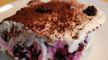 Brombeer-Tiramisu