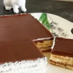 Butterkekskuchen mit Schokopudding und Kokosraspeln