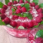 Kokos-Himbeer-Dessert